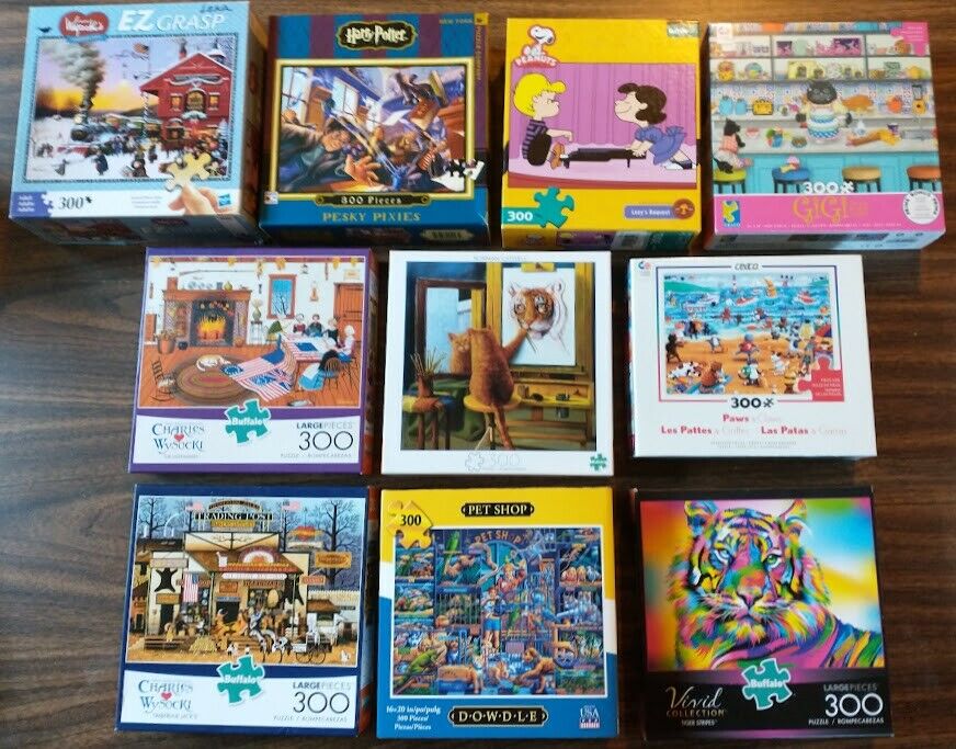 Lot Of 10 Ten 300 Piece Jigsaw Puzzles Various Manufacturers All Complete!! (1)